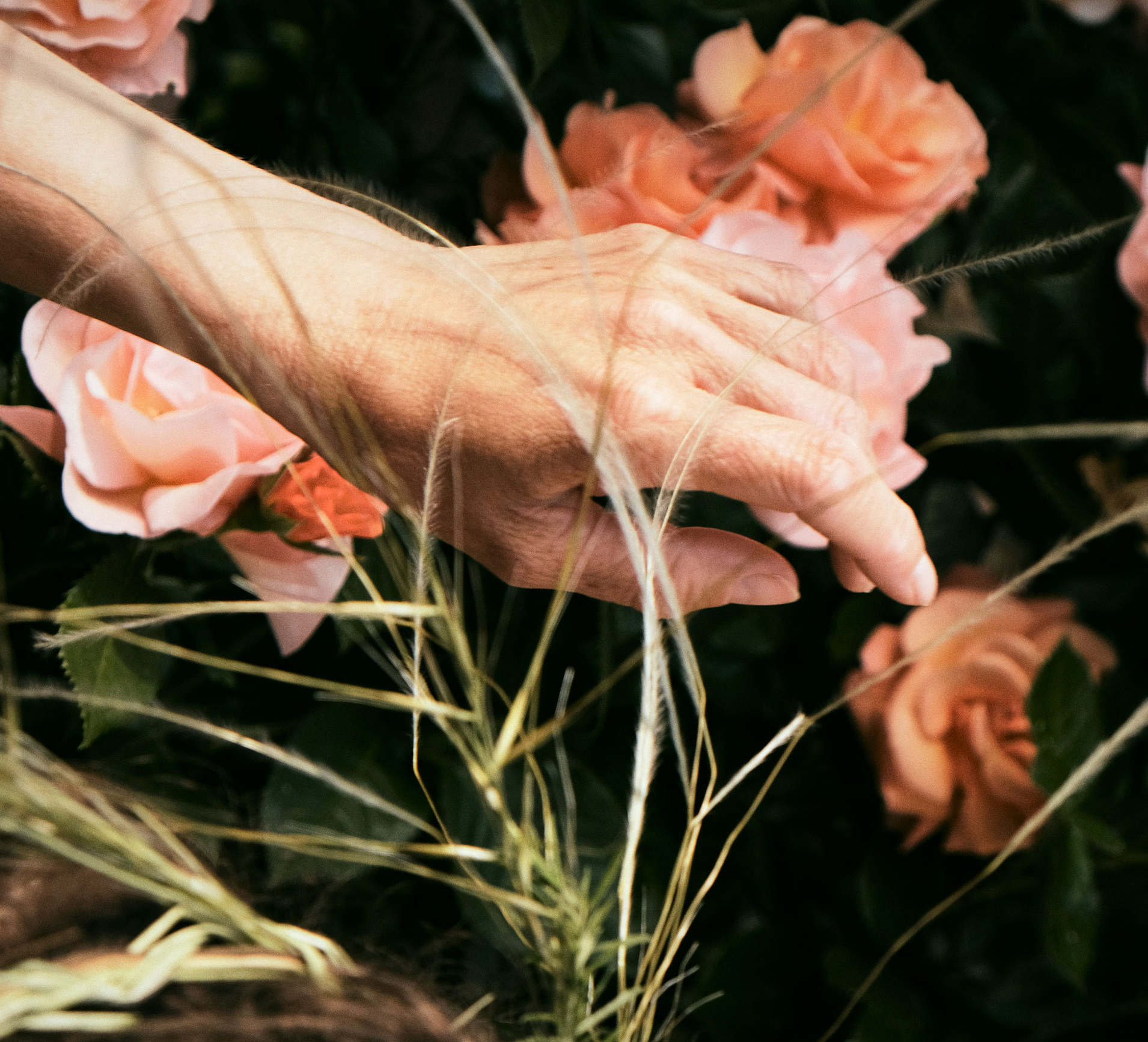 Loslassen – Zeit für dich am Ammersee